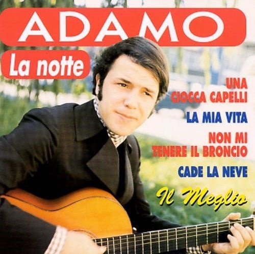 Cover for Adamo · Il Meglio (CD) (2018)