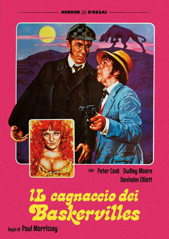 Cover for Cagnaccio Dei Baskerville (Il) (DVD) (2018)