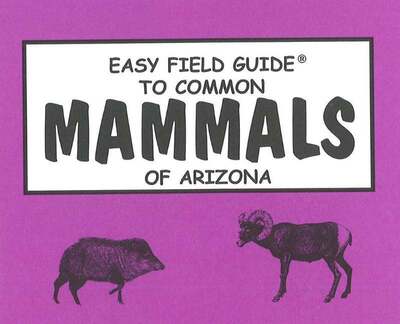 Easy Field Guide to Common Mammals of Arizona - Richard Nelson - Boeken - American Traveler Press - 9780935810165 - 1996