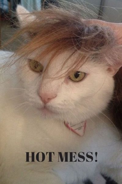 Hot Mess! - Lisa Chase - Books - Independently Published - 9781079021165 - July 7, 2019