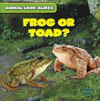 Cover for Rob Ryndak · Frog or Toad? (Paperback Book) (2015)