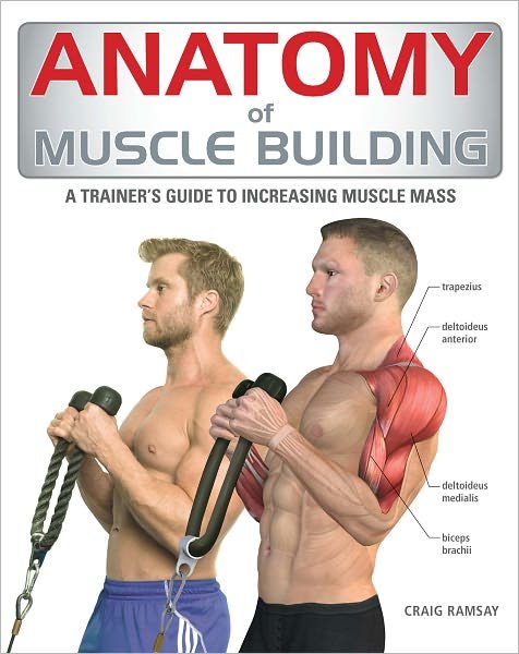 Anatomy of Muscle Building: a Trainer's Guide to Increasing Muscle Mass - Craig Ramsay - Kirjat - Firefly Books - 9781554078165 - torstai 24. maaliskuuta 2011