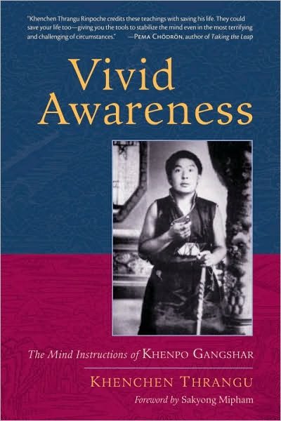 Cover for Khenchen Thrangu · Vivid Awareness: The Mind Instructions of Khenpo Gangshar (Taschenbuch) (2011)