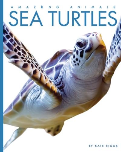Cover for Kate Riggs · Sea Turtles (Book) (2022)