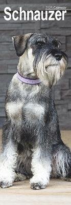 Schnauzer Slim Calendar 2025 Dog Breed Slimline Calendar - 12 Month (Calendar) (2024)