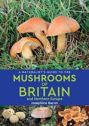 Cover for Josephine Bacon · A Naturalist's Guide to the Mushrooms of Britain and Northern Europe (2nd edition) - Naturalist's Guide (Paperback Book) (2019)