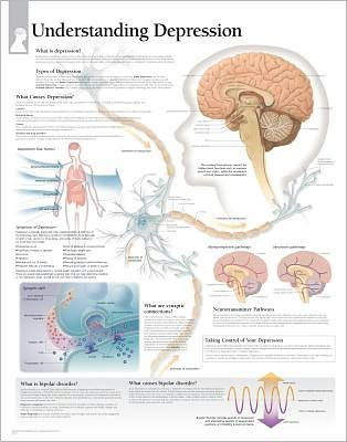 Cover for Scientific Publishing · Understanding Depression Laminated Poster (Poster) (2006)