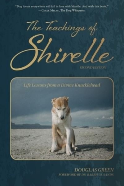 Cover for Douglas Green · Teachings of Shirelle (Bog) (2024)