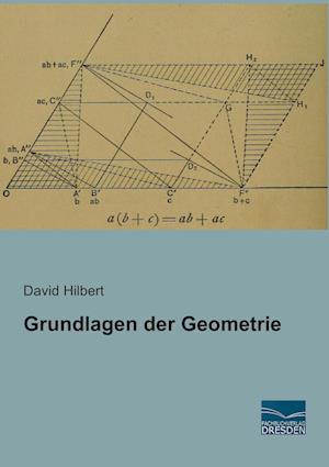 Grundlagen der Geometrie - Hilbert - Böcker -  - 9783956920165 - 