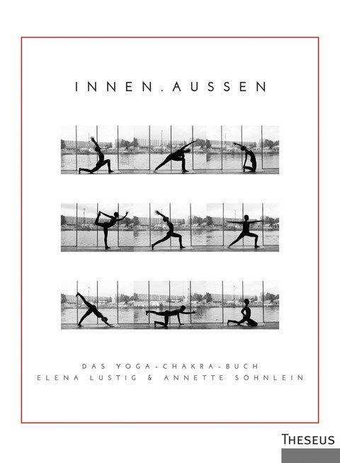 Cover for Lustig · Innen / Außen (Book)