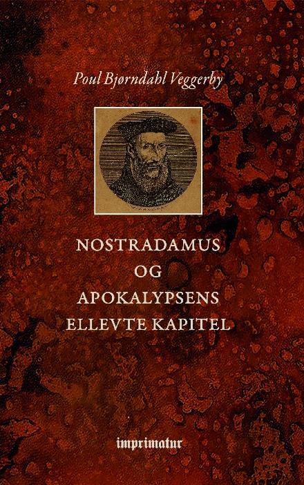 Cover for Poul Bjørndahl Veggerby · Nostradamus og Apokalypsens ellevte Kapitel (Taschenbuch) (2017)