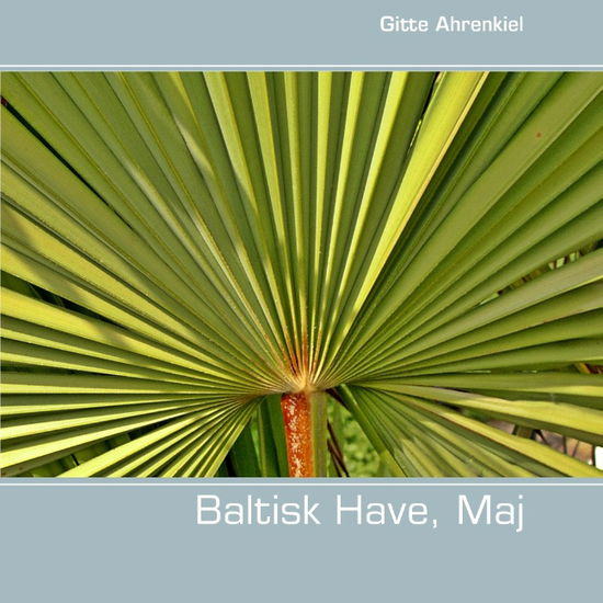 Cover for Gitte Ahrenkiel · Baltisk Have, Maj (Paperback Book) [1. wydanie] [Paperback] (2013)