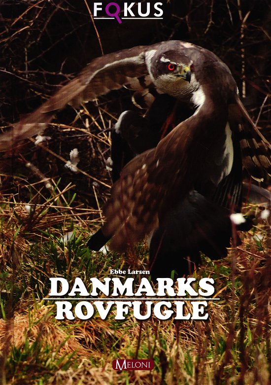 Cover for Ebbe Larsen · Fokus: Danmarks Rovfugle (Bound Book) [1. wydanie] (2014)