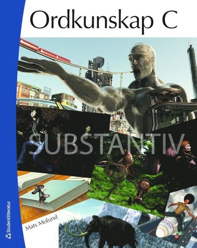 Ordkunskap C Substantiv - Lärarens bok - Mats Molund - Books - Studentlitteratur AB - 9789144079165 - May 28, 2012