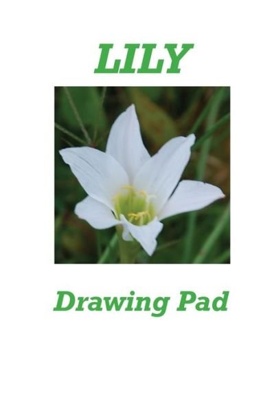 Cover for Karen Rhodes · Lily Drawing Pad (Taschenbuch) (2020)