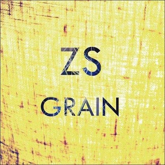 Cover for Zs · Grain (LP) (2013)
