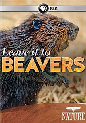 Cover for Nature: Leave It to Beavers (DVD) (2014)