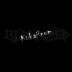 Cover for Illdisposed · Kokaiinum (White) (VINIL) (2017)