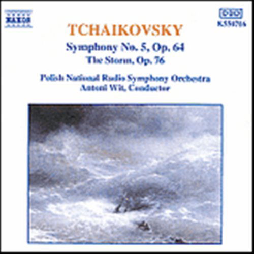 Cover for Pyotr Ilyich Tchaikovsky · Symphony No.5 The Storm (CD) (1993)