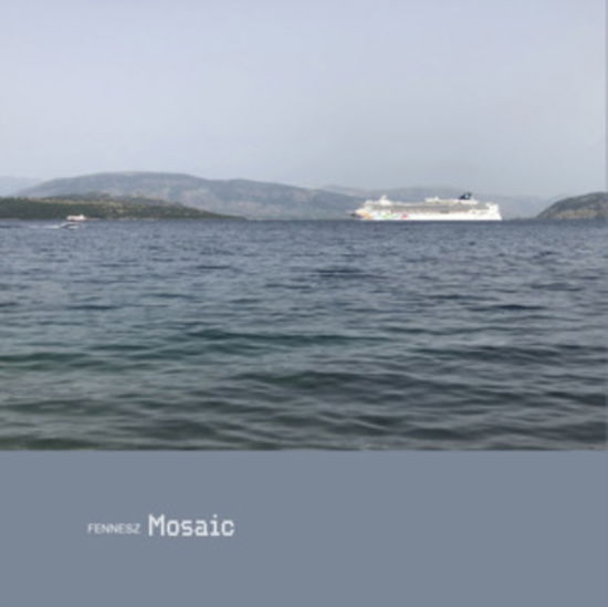 Cover for Fennesz · Mosaic (LP) [Limited, Japan Import edition] (2025)