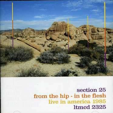 Cover for Section 25 · From The Hip-In The Flesh (CD) (2001)