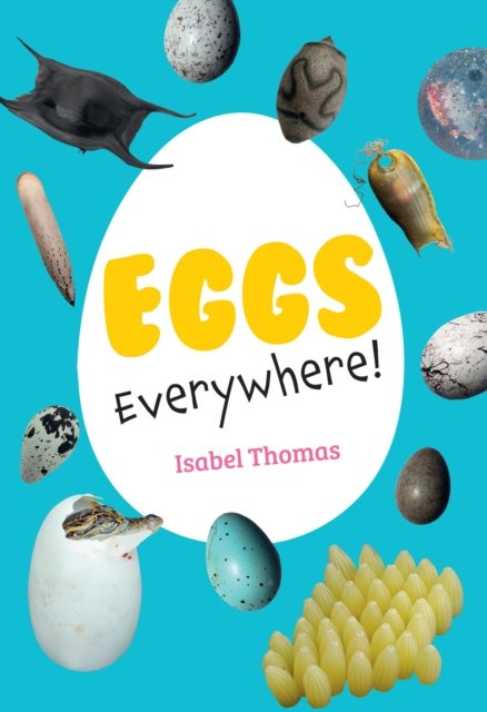 Cover for Isabel Thomas · Eggs Everywhere - Big Cat for Little Wandle Fluency (Paperback Bog) (2024)