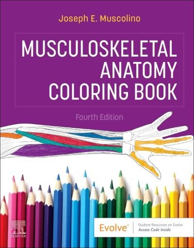 Cover for Muscolino, Joseph E. (Instructor, Purchase College, State University of New York, Purchase, New York; Owner, The Art and Science of Kinesiology, Redding, Connecticut) · Musculoskeletal Anatomy Coloring Book (Paperback Bog) (2023)