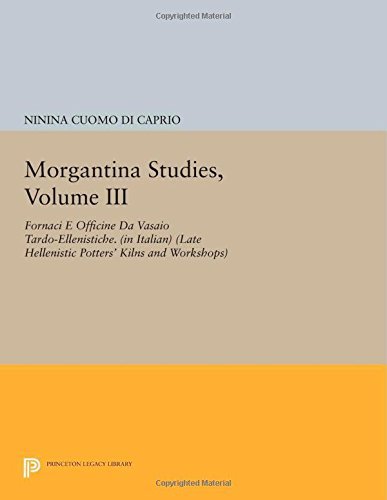 Cover for Ninina Cuomo di Caprio · Morgantina Studies, Volume III: Fornaci e Officine da Vasaio Tardo-ellenistiche. (In Italian) (Late Hellenistic Potters' Kilns and Workshops) - Princeton Legacy Library (Paperback Book) (2014)