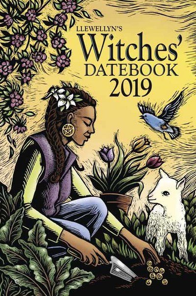 Cover for Kathleen Edwards · Llewellyns 2019 witches datebook (Bog) (2018)