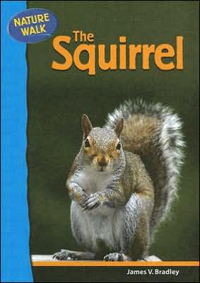 Cover for James Bradley · The Squirrel - Nature Walk (Hardcover Book) (2006)