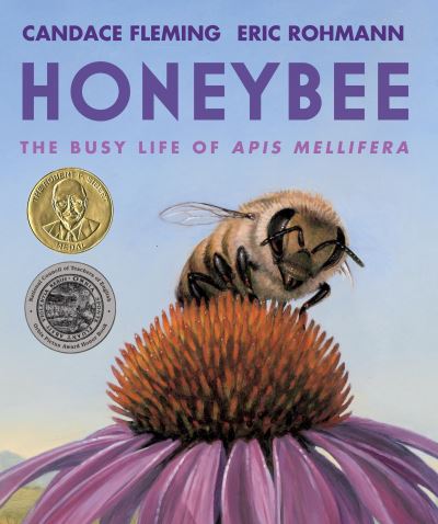 Cover for Candace Fleming · Honeybee: The Busy Life of Apis Mellifera (Paperback Book) (2023)