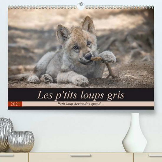 Les p'tits loups gris (Premium, h - Camel - Books -  - 9781325617166 - 