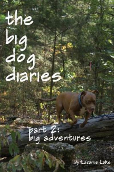 Cover for Lazarus Lake · Big Adventures: the Big Dog Diaries (Paperback Book) (2012)