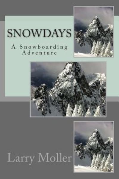 Cover for Mr Larry L Moller · Snowdays (Paperback Book) (2013)