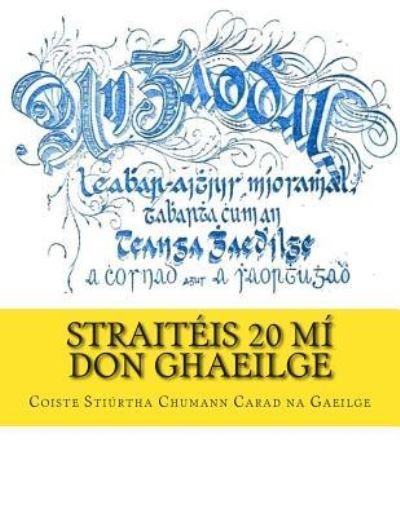 Cover for Coiste Stiurtha Chumann Carad Na Gaeilg · Strait is 20 M don Ghaeilge (Pocketbok) (2014)
