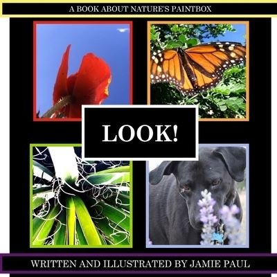 Cover for Jamie Paul · Look! (Paperback Book) (2014)
