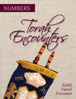 Cover for Rabbi Daniel Pressman · Torah Encounters: Numbers - Torah Encounters (Paperback Book) (2022)