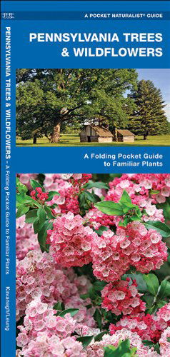 Cover for James Kavanagh · Pennsylvania Trees &amp; Wildflowers: a Folding Pocket Guide to Familiar Plants (Pocket Naturalist Guide Series) (Pamphlet) [1st edition] (2017)