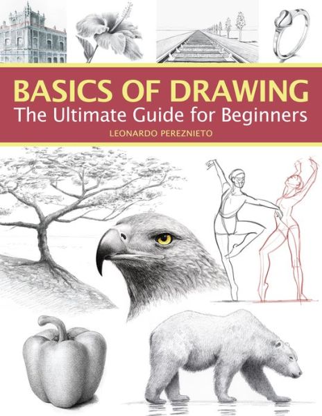 Cover for Leonardo Pereznieto · Basics of Drawing: The Ultimate Guide for Beginners (Paperback Book) (2020)