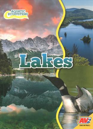 Cover for John Willis · Lakes (Paperback Book) (2020)