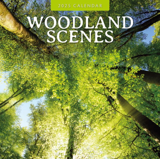 Cover for Red Robin · Woodland Scenes 2025 Square Wall Calendar (Paperback Book) (2024)