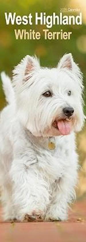 Cover for West Highland Terrier Slim Calendar 2026  Dog Breed Slimline Calendar - 12 Month (Calendar) (2025)