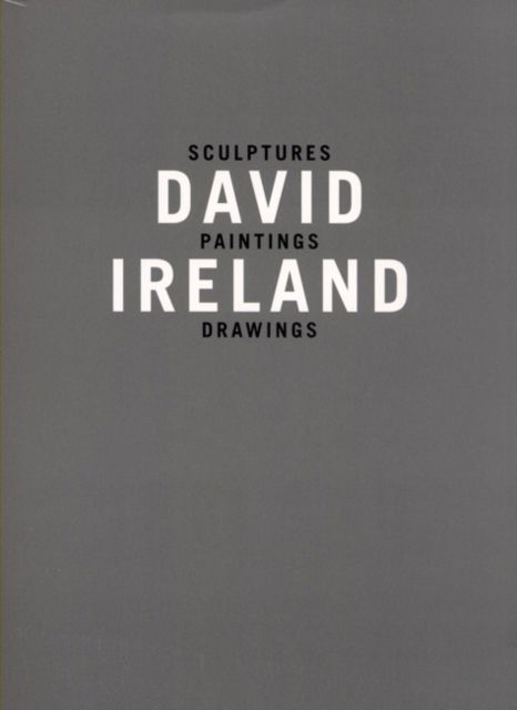 Cover for Lord Kenneth Baker · David Ireland: Sculptures, Paintings, Drawings (Paperback Book) (2008)