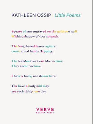 Cover for Kathleen Ossip · Little Poems (Paperback Bog) (2022)