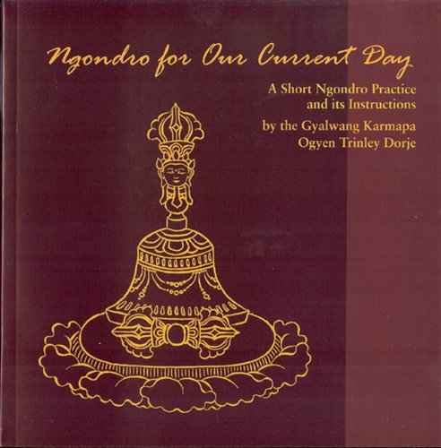 Cover for Gyalwang Karmapa · Ngondro for Our Current Day: a Short Ngondro Practice &amp; Its Instructions (Taschenbuch) [1st edition] (2010)