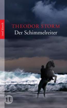 Cover for Theodor Storm · Insel TB.4516 Storm:Der Schimmelreiter (Bok)