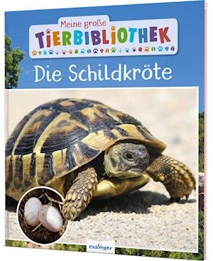 Cover for Axel Gutjahr · Meine große Tierbibliothek: Die Schildkröte (Book) (2022)