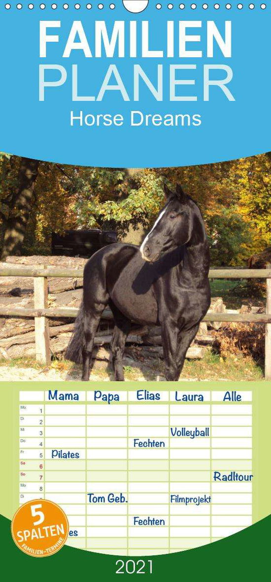 Horse Dreams - Familienplaner ho - Meding - Books -  - 9783672186166 - 