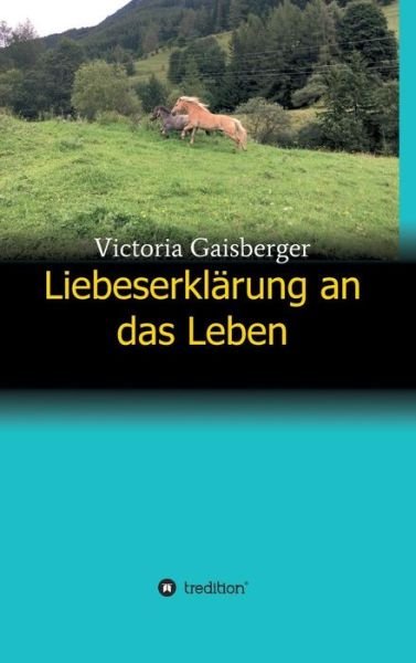 Cover for Gaisberger · Liebeserklärung an das Leben (Book) (2018)