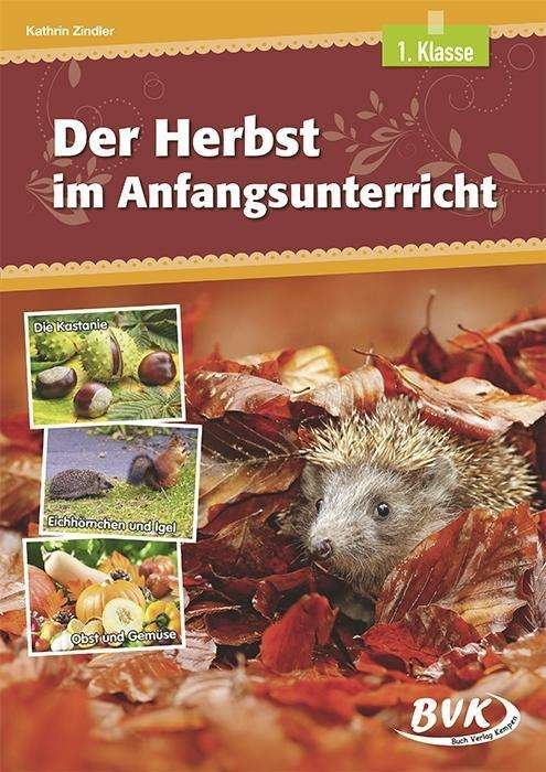 Der Herbst im Anfangsunterricht - Zindler - Books -  - 9783965200166 - 
